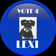 vote-4-lexi