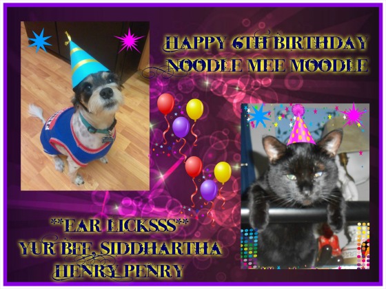 Noodle's 6th bday card.jpg
